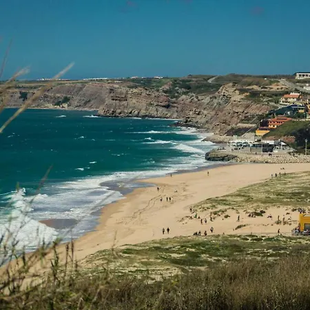 Vakantiehuis Tiny House Paulina De Luxe